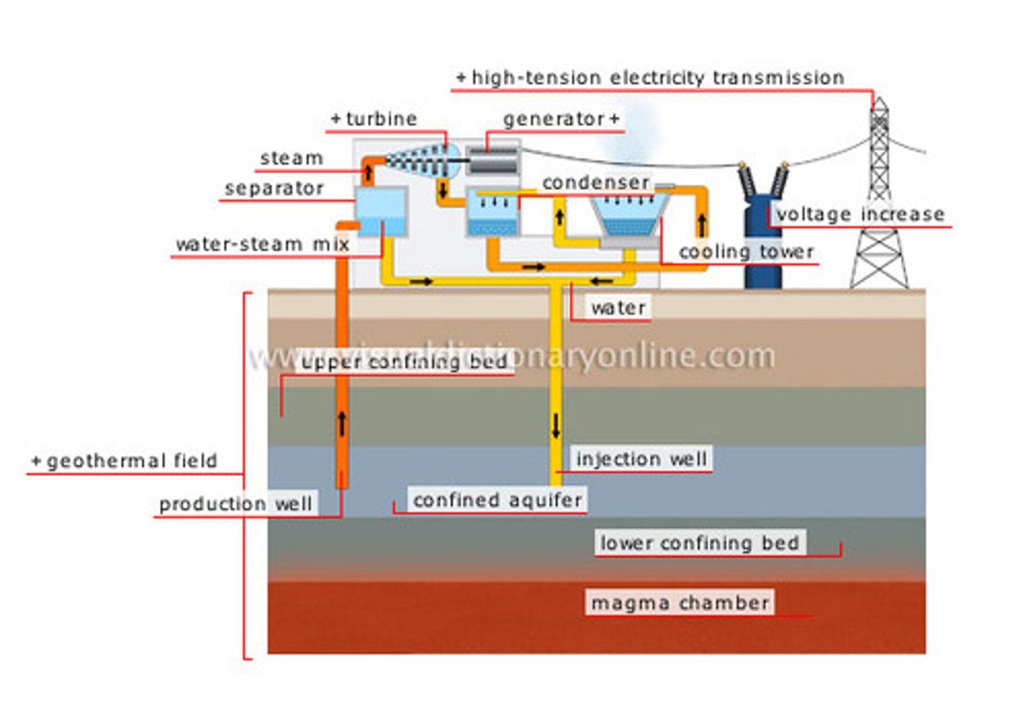 <p>using the energy from inside the earth (magma) to heat water, to make steam, to turn a turbine, to generate electricity</p>