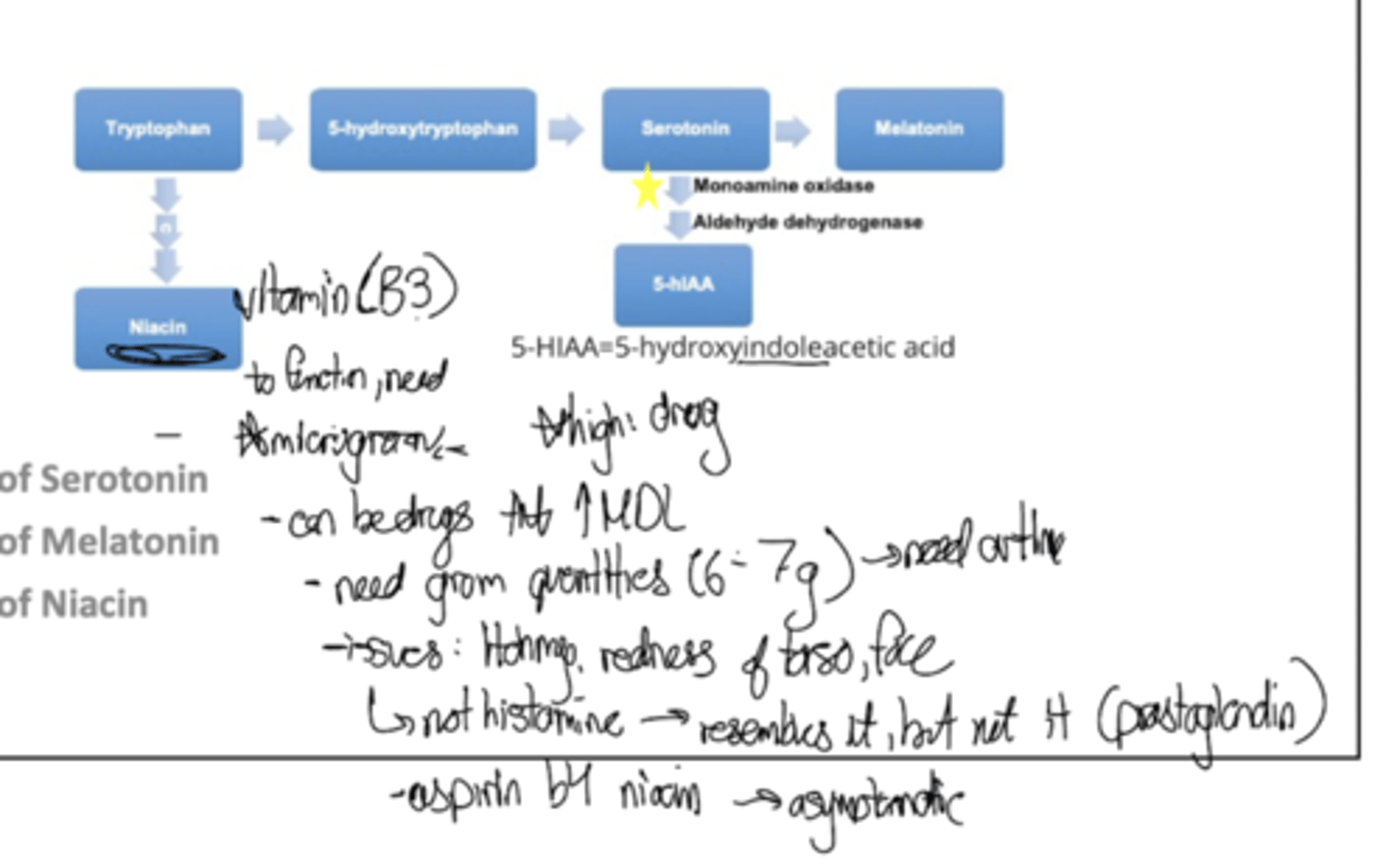 <p>Serotonin, melatonin, niacin; also you can try to decipher those scrawlings that got screwed up by my dumb apple pencil but you can also give up like i am right now</p>