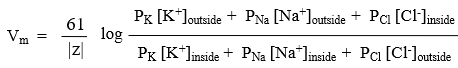 <p>potassium permeability is much higher than sodium due to significantly more leak channels being available</p><p>at 37 degrees C</p>
