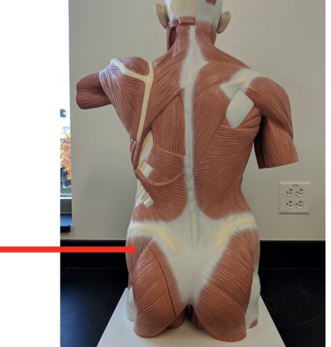 <p>what is this?</p>