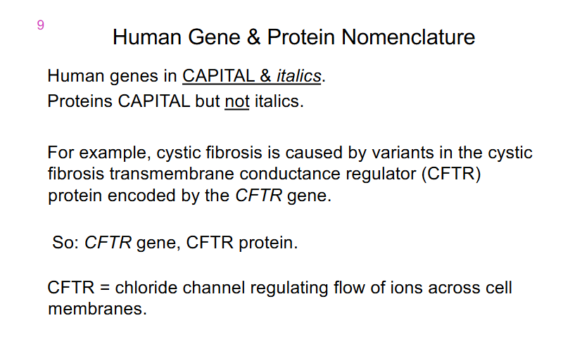 <p>Human Gene and Protein Nomenclature</p>