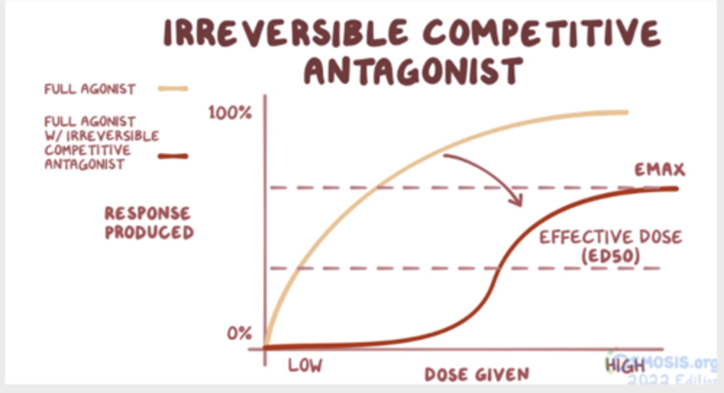 <p>A competitive antagonist is a pharmacologic antagonist that can be overcome by increasing the agonist concentration. </p><p>The inhibition caused by reversible competitive antagonists can be overcome when more ligands are floating around. So when it unbinds, it’s more likely for one of the ligands to bind. On the dose-response graph, reversible competitive antagonists shift the curve to the right, increasing the dose required to achieve ed50 without affecting Emax.</p><p>An irreversible competitive antagonist competes with the agonist for the same receptor site, but the binding is irreversible. The receptor will not activate, no matter how many agonists are around. Agonist will have increased effective dose and a reduced maximal effect of Emax (right downward shift)</p>