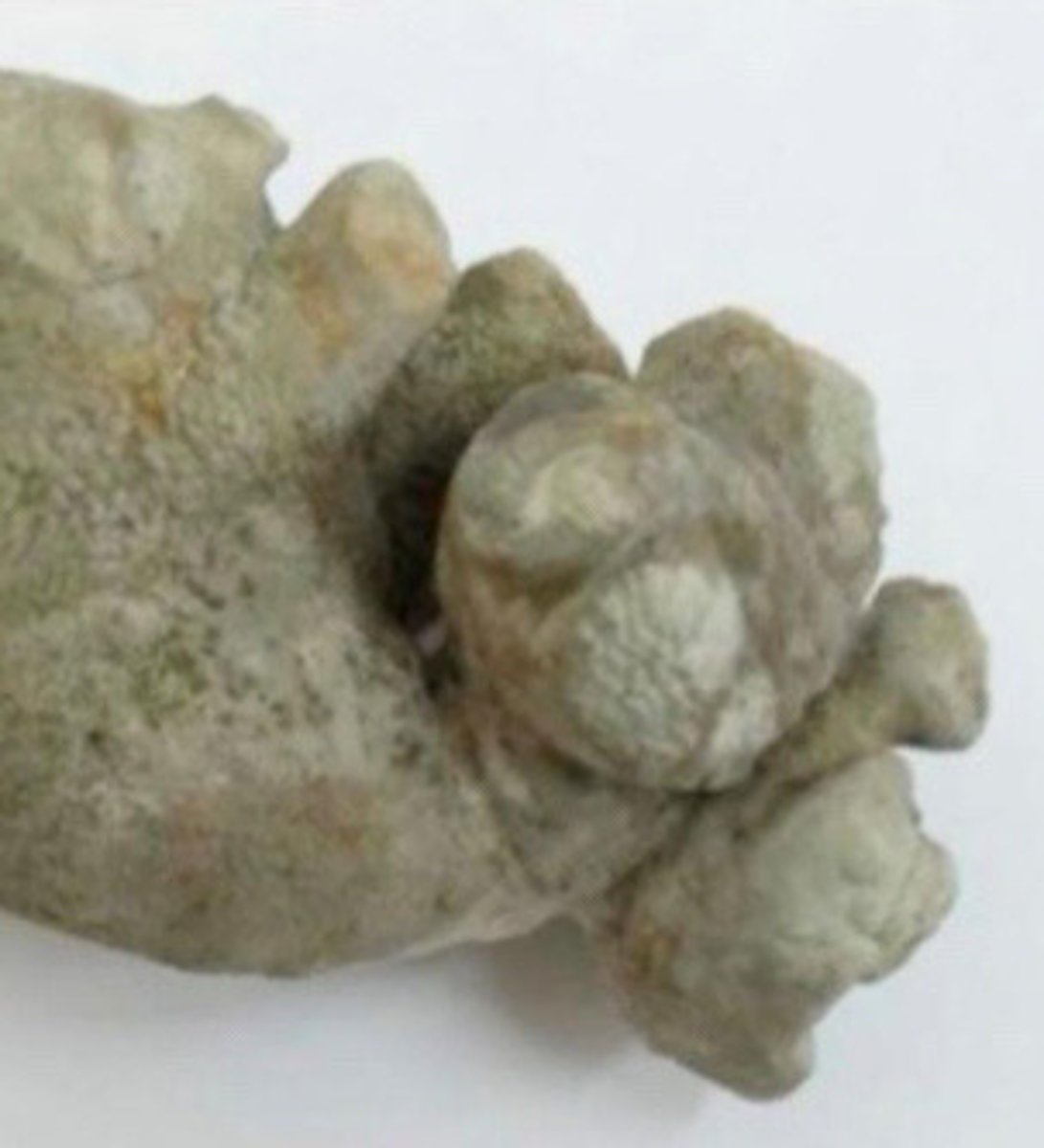 <p>What does this image show</p>