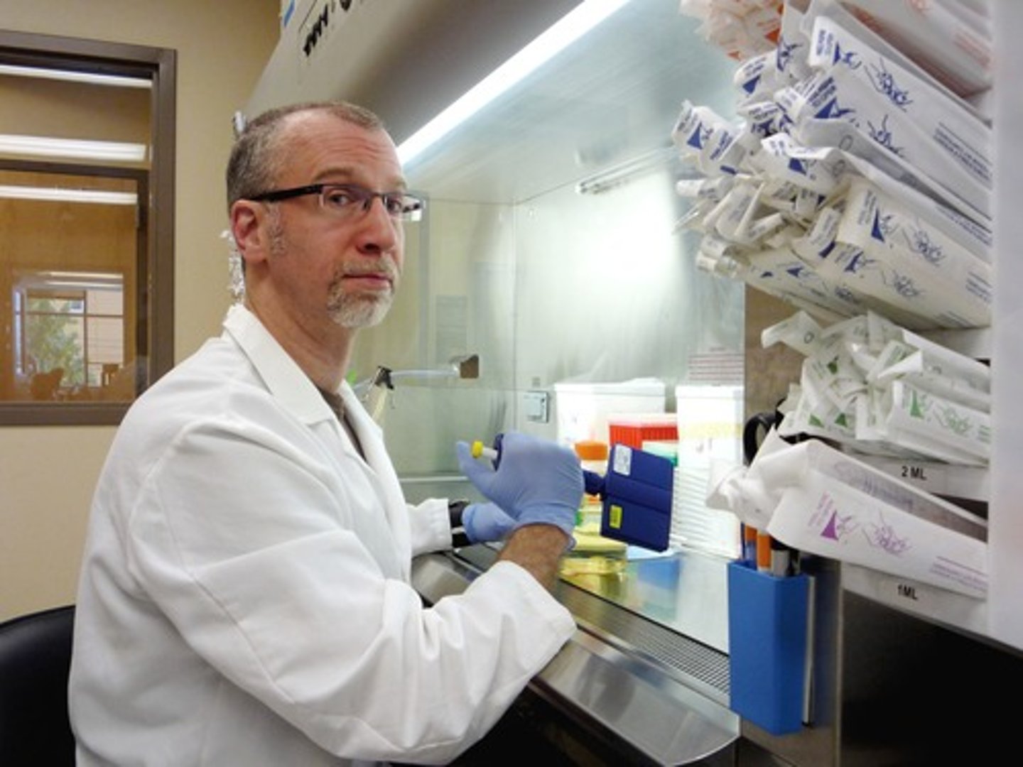 <p>to test, analyze</p>