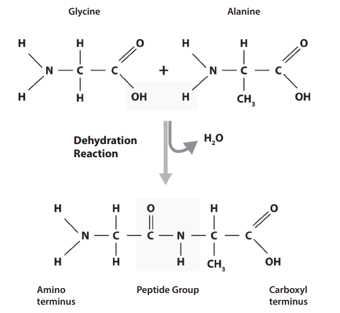 <p>what does this represent?</p>