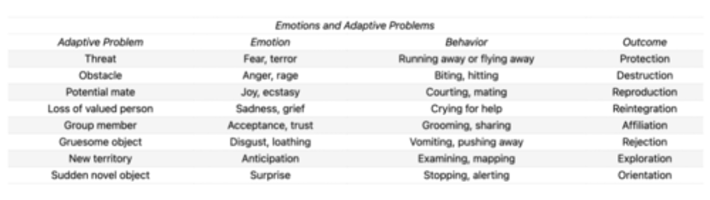 <p>• Plutchik (1980): theory of actions taken in response to adaptive problems, their associated emotions, and outcomes.</p>