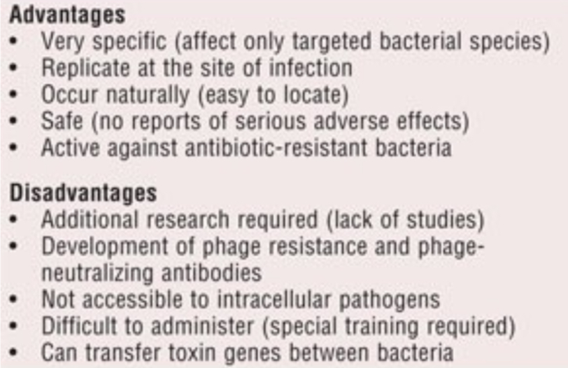 <p>The therapeutic use of bacteriophages to treat pathogenic bacterial infections.</p>