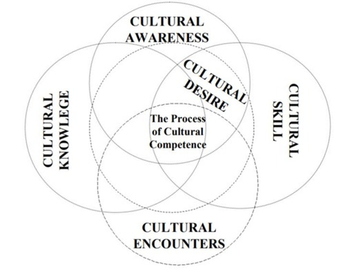 <p>Professional health care must be culturally sensitive, culturally appropriate, and culturally competent to meet the multifaceted health care needs of each person, family, and community.</p>