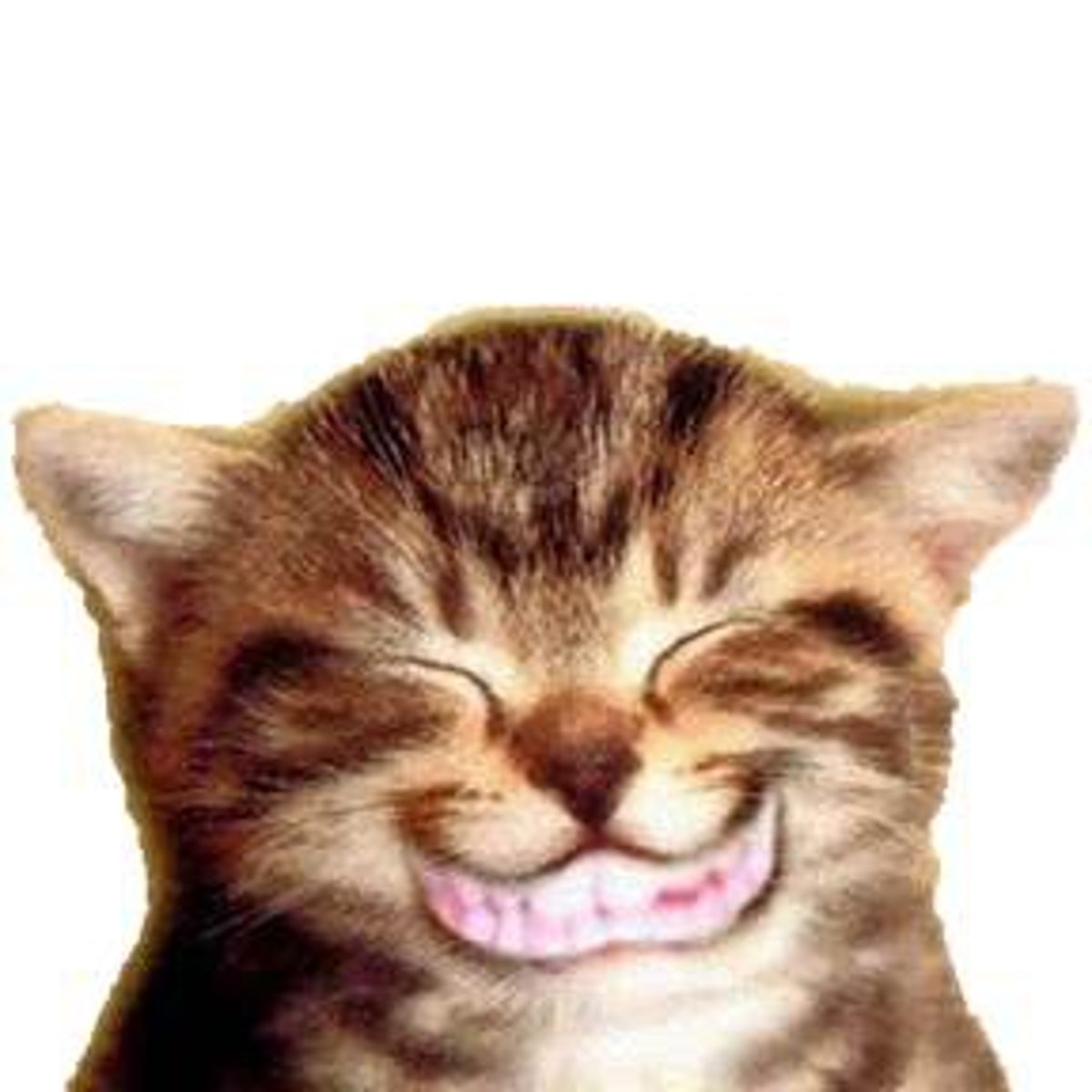 <p>giving a big smile</p>