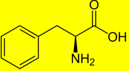 <p>the shown structure belongs to</p><p>A. Trp</p><p>B. Tyr</p><p>C. Phe</p><p>D. Pro</p>