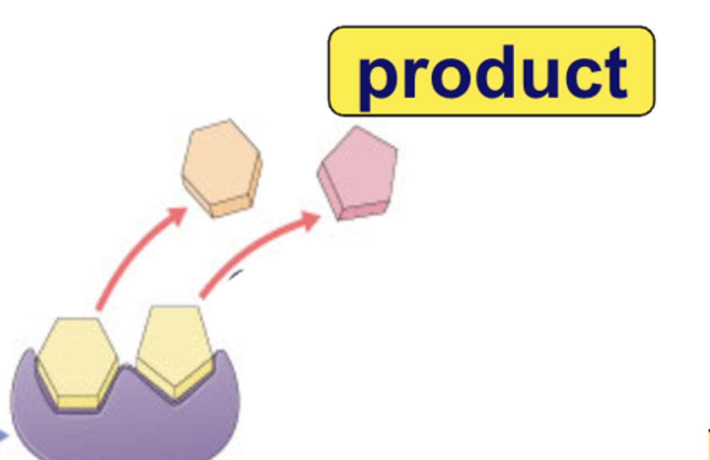 <p>a substance that is formed from a chemical reaction</p>