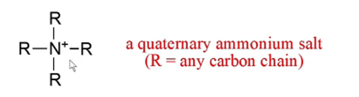 <p>the nitrogen gets a formal positive charge and you have a quaternary ammonium salt (except it still has a full octet)</p>
