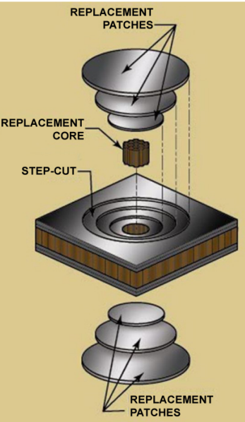 term image