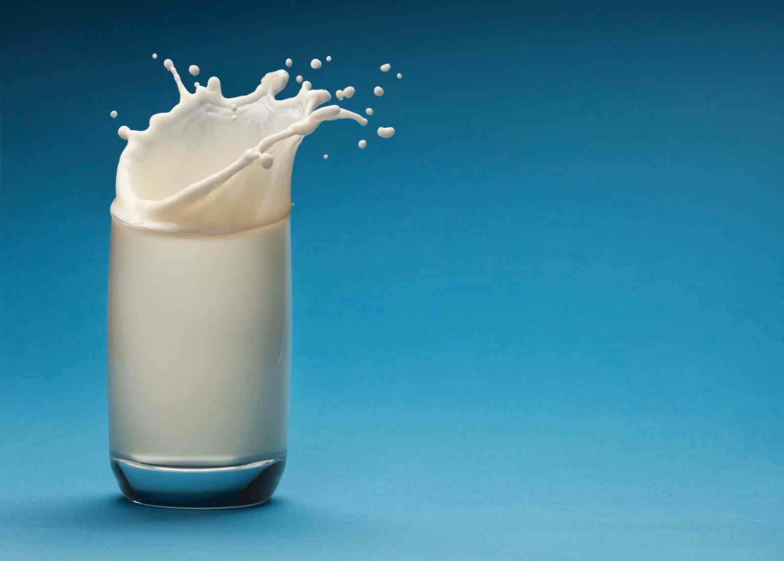 <p>Milk</p>