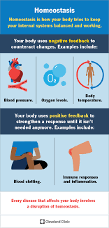 <p>Homeostasis is an organism's ability to maintain a stable internal environment. This is critical for survival because diabetes is due to a mutation that causes people to not be able to maintain stable blood sugar levels, and they sometimes die because of this. Also, in many cases when scientists are trying to classify something as dead or alive, they ask a question about homeostasis itand  can’t maintain a stable ininternal environmenthisplays a big role in determining if it’s alive or not.</p>
