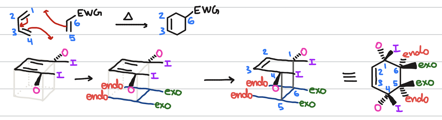 <p>formation of cyclohexene</p><p>occurs when: diene; dienophile w/ EWG; heat</p>