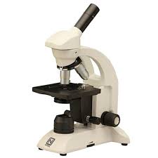 <p>microscope</p>