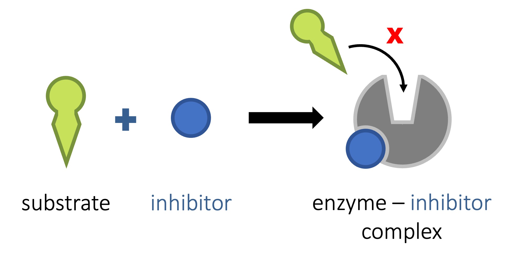 <p>Non-competitive inhibitor</p>