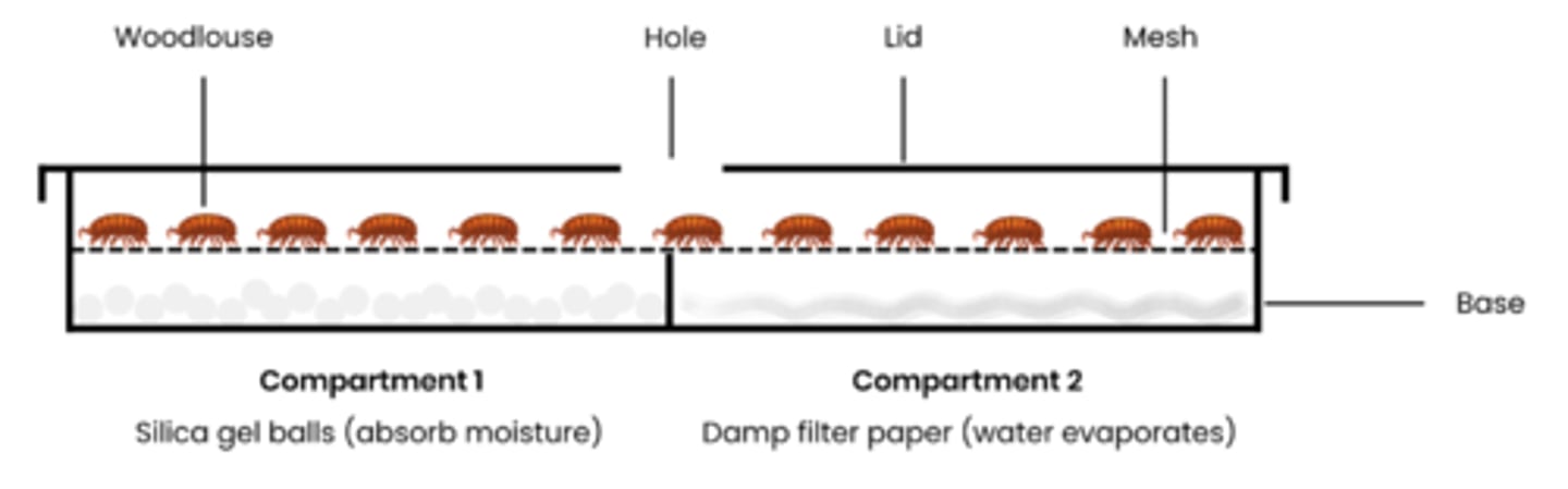 <p>1. Set up choice chamber (different compartments) to create different environmental conditions</p><p>○ Eg. humidity → add a drying agent to one side and damp filter paper to other</p><p>○ Eg. light → shine a light but cover one half with black card</p><p>2. Control other environmental conditions</p><p>○ Eg. if investigating humidity control light intensity with a dim even light above</p><p>3. Use a teaspoon to place 12 animals eg. woodlice on centre of mesh platform and cover with lid</p><p>4. After a set amount of time eg. 10 minutes record the number of animals in each section</p><p>5. Repeat after gently moving woodlice back to centre</p>