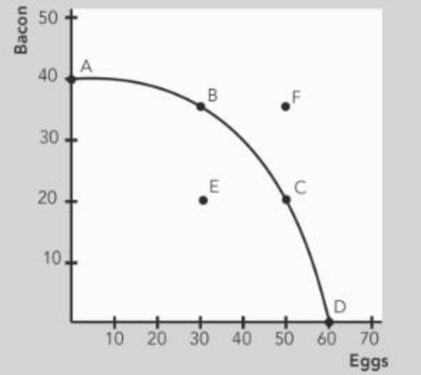 If the economy were operating at point E, 

\
a. 20 additional units of eggs can be produced with no impact on bacon production. 

b. the opportunity cost of 20 additional units of eggs is 30 units of bacon. 

c. the opportunity cost of 20 additional units of eggs is 10 units of bacon. 

d. the opportunity cost of 20 additional units of eggs is 20 units of bacon