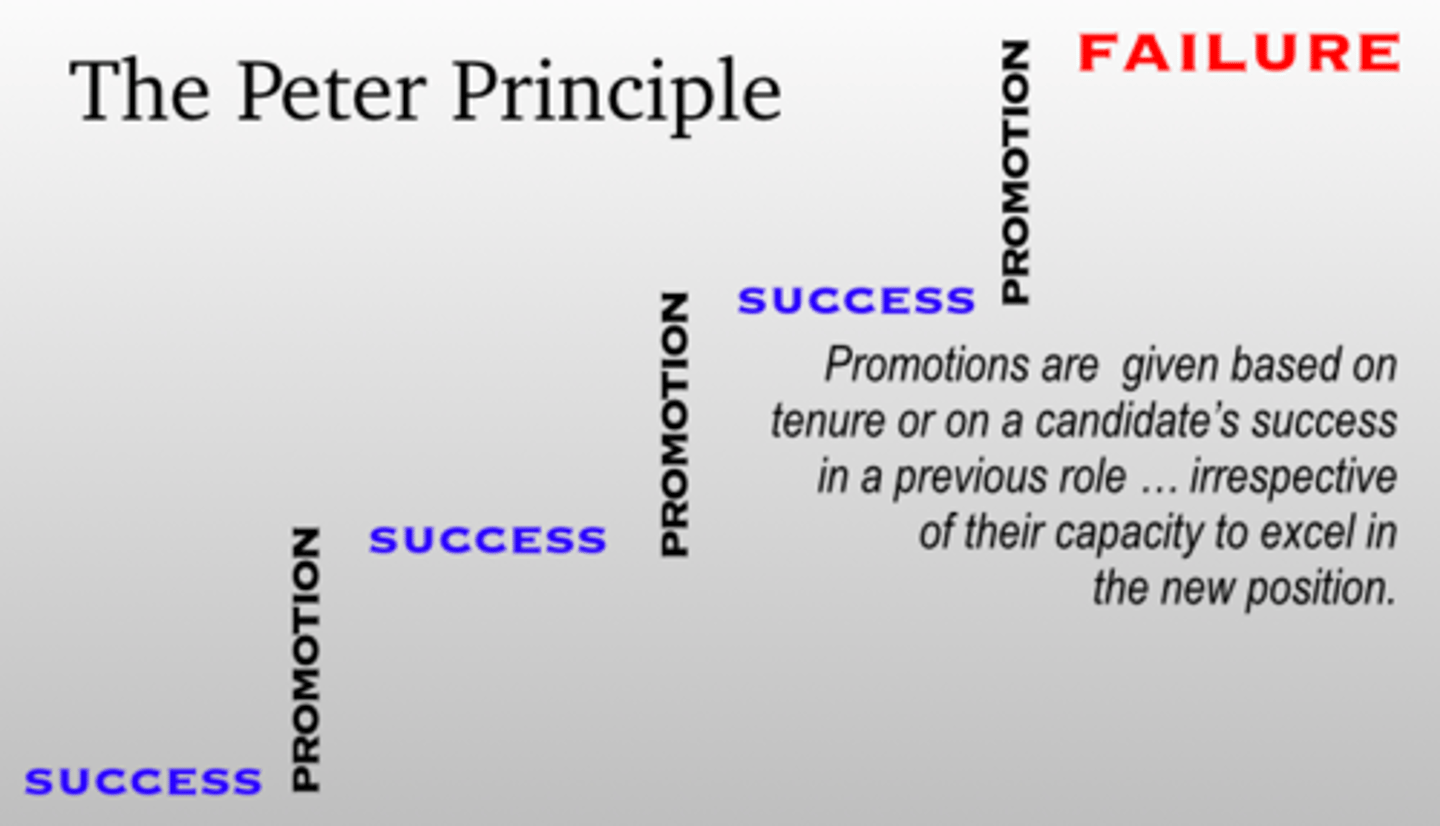 <p>(D) Employment based on Technical Qualifications</p><p>The Peter Principle is the idea that when individuals are promoted based on technical qualifications, they are promoted over and over until they reach a position that they cannot perform well, at which point they won't get promoted due to their incompetence, yet they will stay there because they have nowhere else to go.</p>