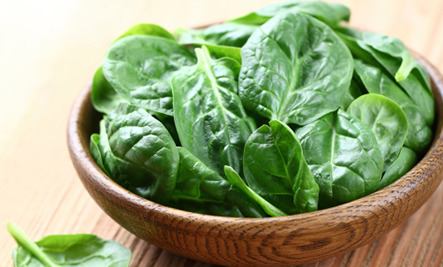 small, green leaves with short, light green stems.