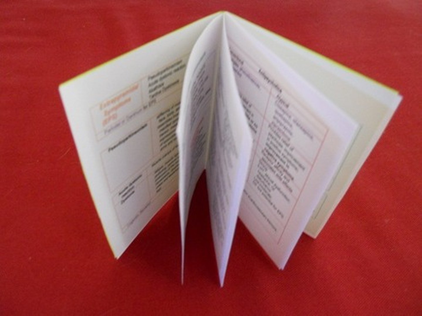 <p>Un petit livre avec les informations spécifiques, normalement quelques pages</p>