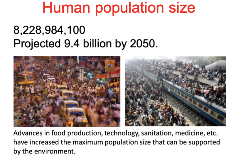 <p>Human Population size now and projected</p>