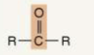 <p></p>