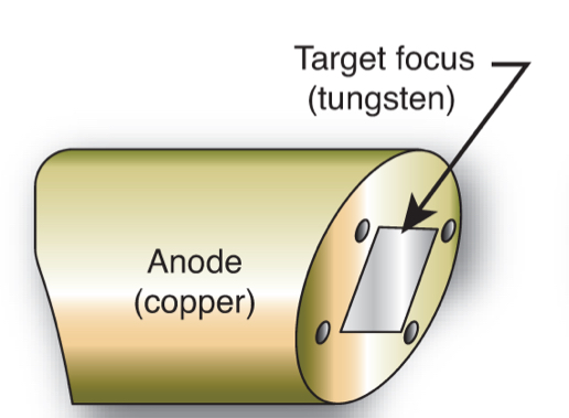 <p>What type of anode is this?</p>