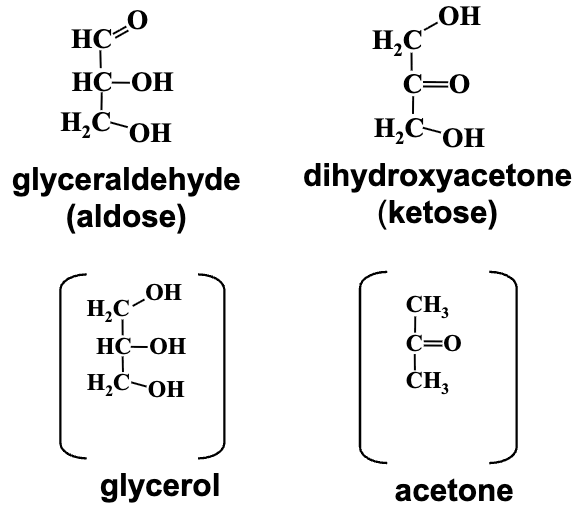 REMEMBER THESE STRUCTURES