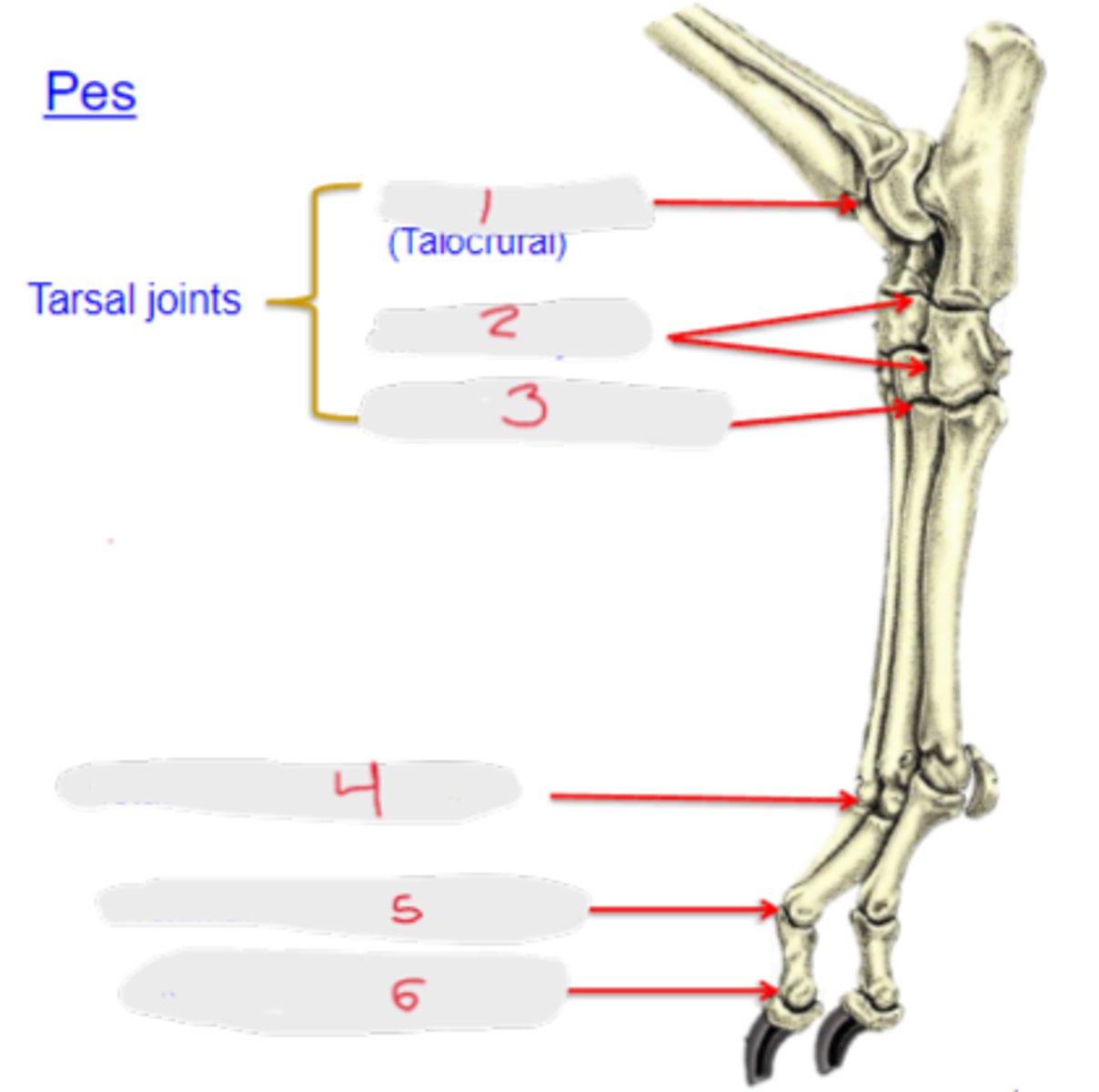 <p>5</p>
