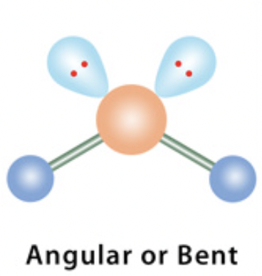 <p>electron domain: tetrahedral</p>
