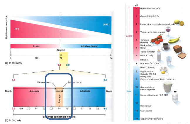 <p>DIAGRAM ON SLIDE 4</p>