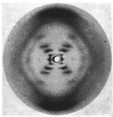 <p>used an X-ray to show that 2 DNA strands were twisted</p>