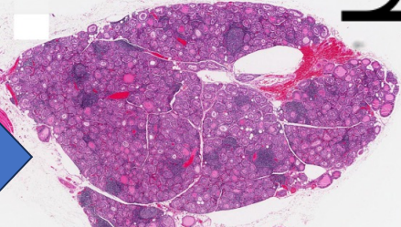 <p>What does this image show?</p>