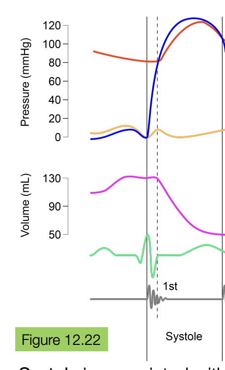 <ul><li><p>systole is associated with high ventricular pressure (due to ventricular contraction), eventually exceeding atrial and aortic pressure, leading to the ejection of blood into the aorta</p></li><li><p>left ventricular volume is decreasing (since blood is flowing out of the L ventricle into the aorta + body)</p></li><li><p>left ventricular pressure is initially increasing and then starts to decrease in a parabola shape</p></li><li><p>the aortic is also increasing and then decreases in a parabola shape</p></li></ul><p></p>