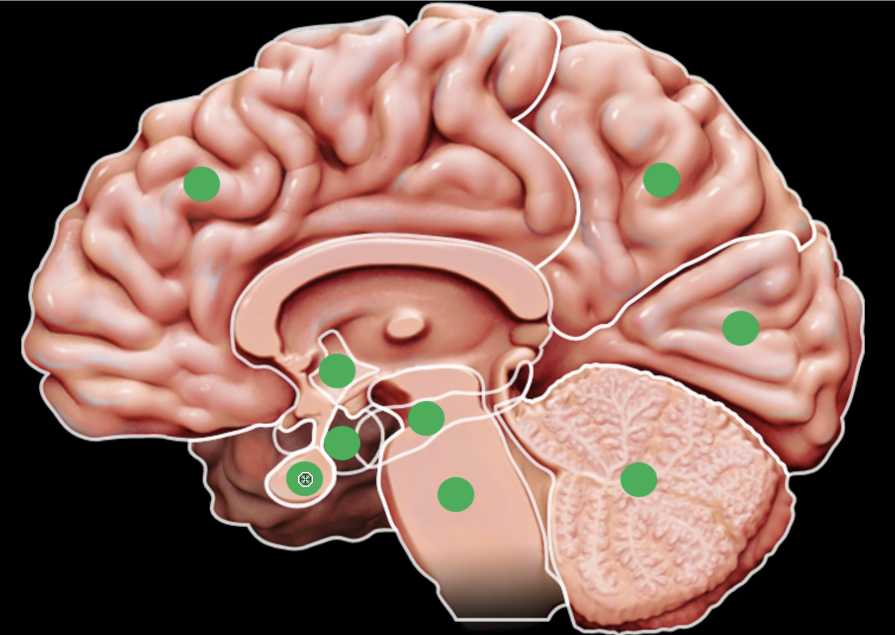 knowt flashcard image