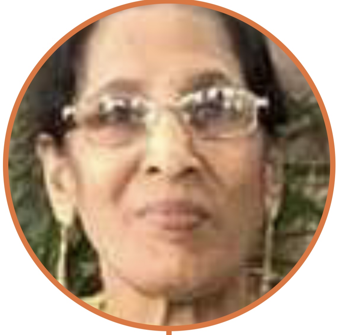 term image