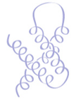 <p>several α helices that associate in antiparallel manner to form bundle</p>