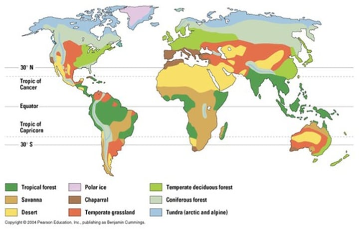 <p><span>Biomes situated on land, such as grasslands, tundra, and temperate forests.</span></p>