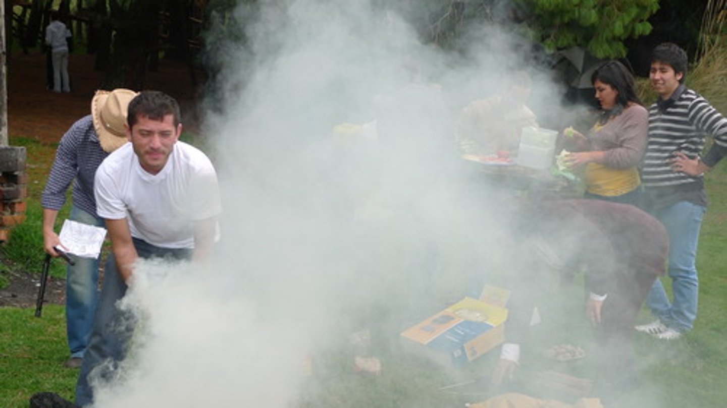 <p>smoke</p>