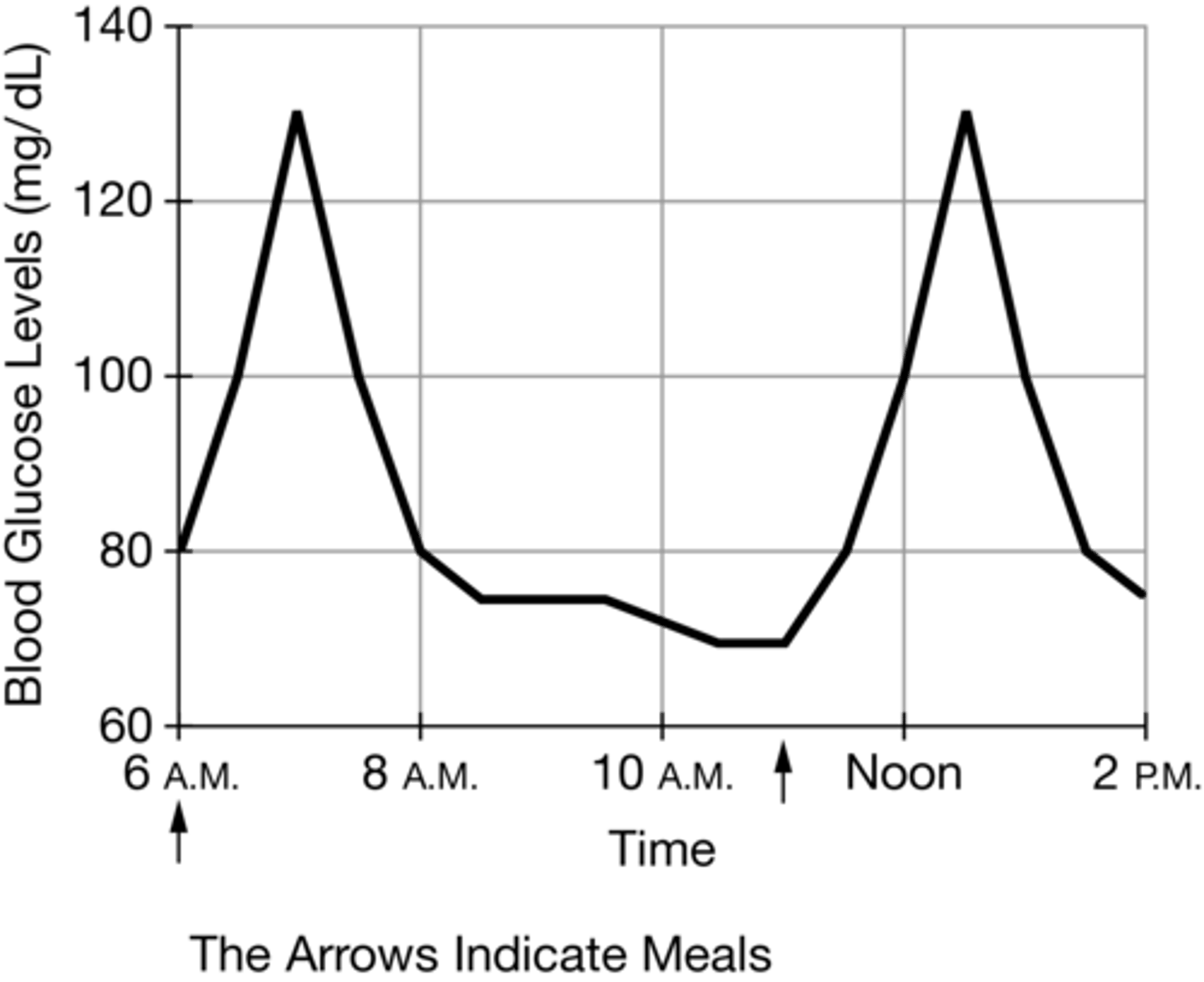 <p><strong>B.</strong>Immediately after the meal, the blood glucose level will increase, and then insulin will be secreted to counter the increase.</p>