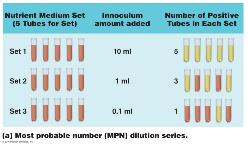 <p>In the context of water testing, describe the process of most probable number (MPN) </p>