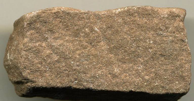 <p>Identify the sedimentary rock</p>