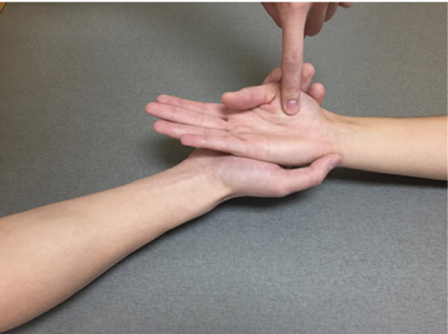 <p>Patient Position: Forearm in resting supination on a towel. Thumb in front of palm</p><p>Palpation: Thenar eminence for FPB</p><p>Compensations: Wrist ulnar deviation, Thumb IP flexion, Thumb CMC flexion</p>