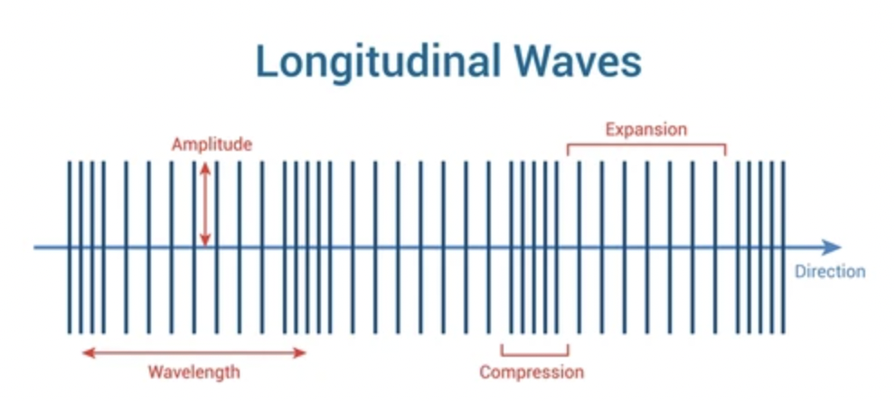 <p>Examples of longitudinal waves include</p>