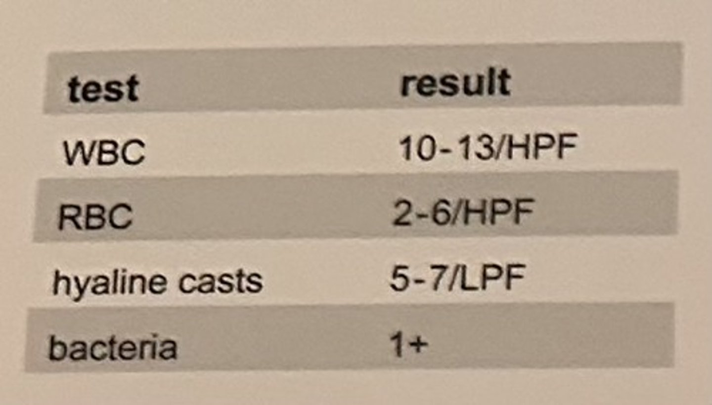 <p>Shortly after collection of a random urine sample, the laboratorian performed a microscopic urinalysis and reported the results shown in the table.</p><p>The urine sediment is reevaluated by a trainee 2 hours later and similar values were reported for the WBC, RBC, and bacteria, but they found no hyaline cast. The most probable explanation for this discrepancy is that the casts dissolved due to a(n):</p><p>a. increase in urine pH</p><p>b. decrease in urine pH</p><p>c. increased in specimen temperature</p><p>d. decrease in specimen temperature</p>
