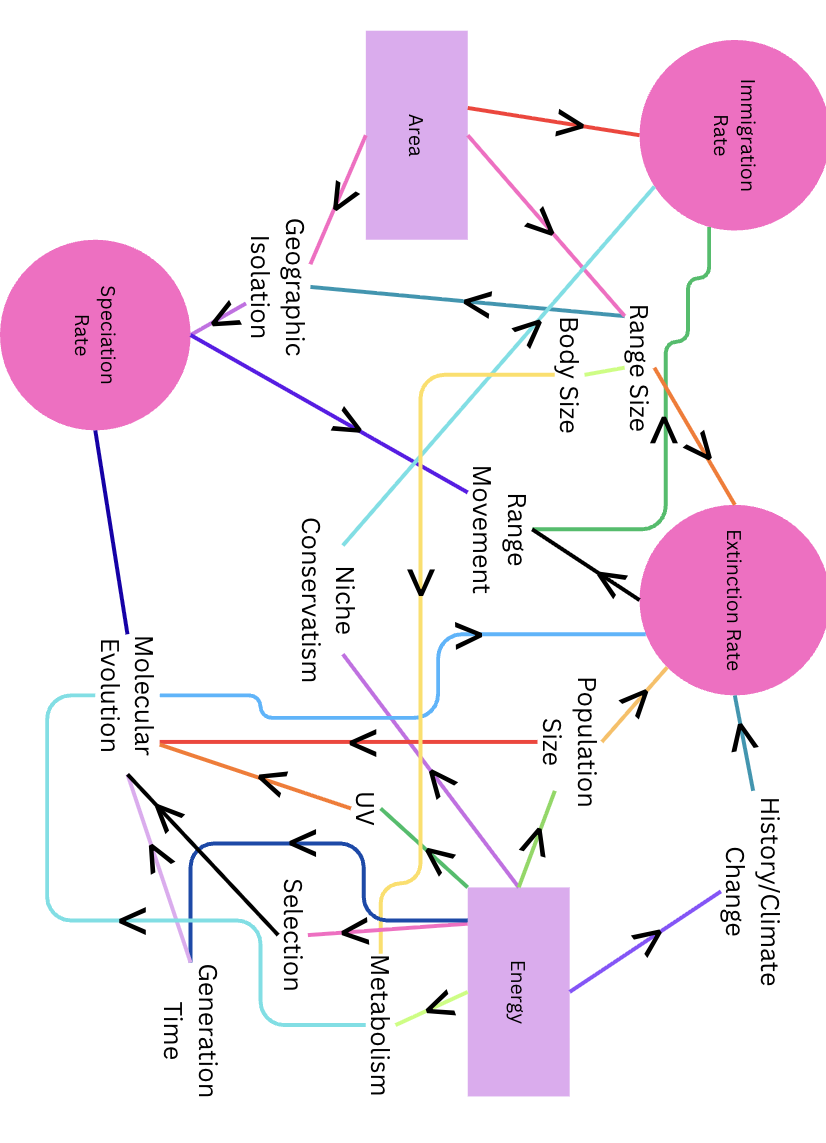 <p>More area means more immigration, more immigration means more biodiversity. More area means more access to resources and energy which means more biodiversity. More area means less extinction, less extinction means more biodiversity.</p>