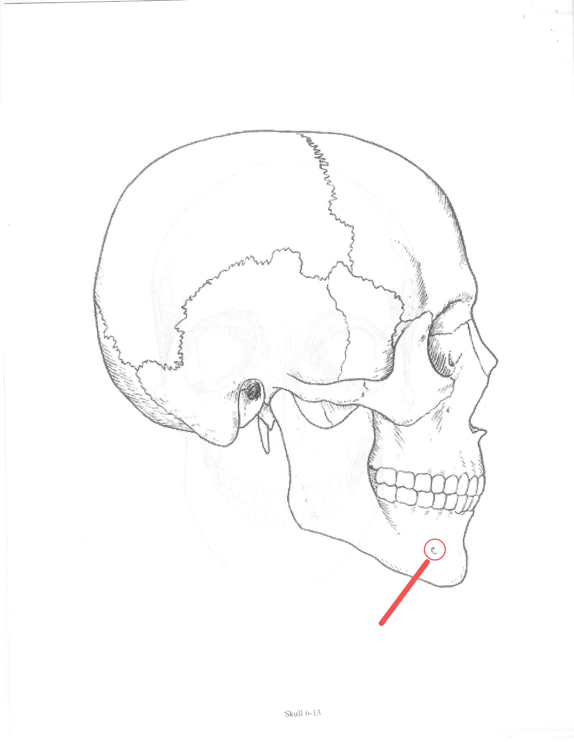 <p>ID feature</p>